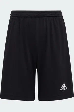 adidas Entrada 22 Shorts