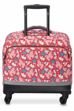 Delsey Leisure and Sportwear Backpack for Unisex Adult, , Sport