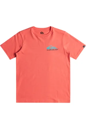 Quiksilver Boys Omni Wave T-Shirt in Spiced Coral