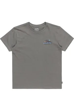 Billabong Boys Lizard Mountain T-Shirt in Slate Grey