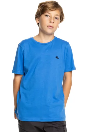 Quiksilver Boys Basic T-Shirt in Nebulas Blue