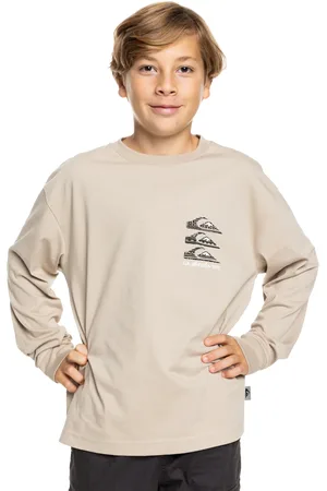 Quiksilver Boys Vintage Mix Long Sleeve T-Shirt in Plaza Taupe