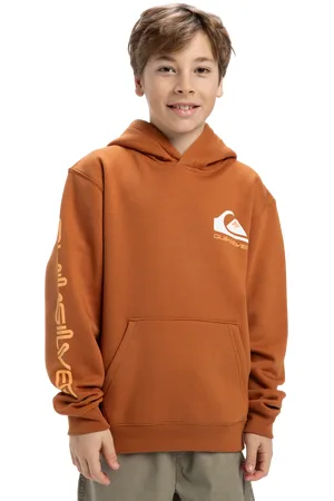 Quiksilver Boys Omni Logo Hoodie in Bran