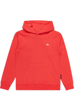 Quiksilver Boys Basic Hoodie in Cayenne