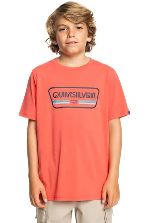 Quiksilver Boys Range Life T-Shirt in Spiced Coral