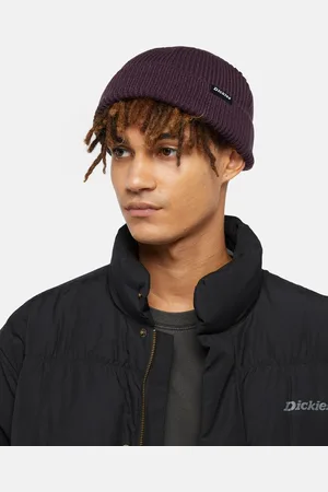 Dickies Woodworth Beanie in Plum