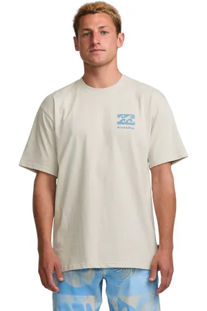 Billabong Elements Regular T-Shirt in Stone