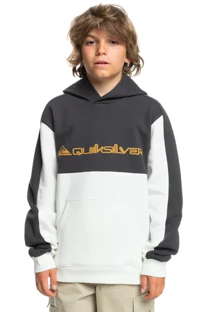 Quiksilver Boys Knowledge Area Hoodie in Snow White