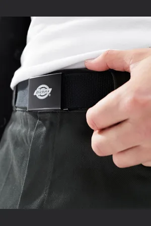 Dickies Orcutt belt in