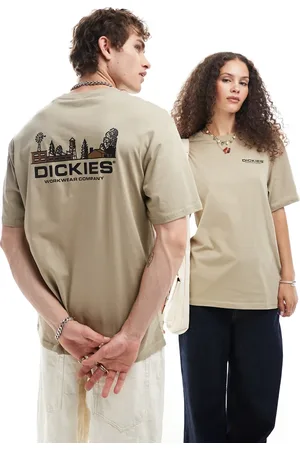 Dickies Bridger town back print t-shirt in khaki