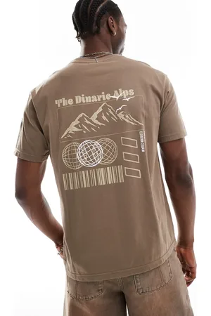 Another Influence Mountain range slogan boxy t-shirt in washed tan