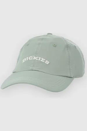 Dickies Wilsall Cap