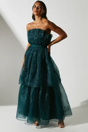 Coast Organza Fan Bodice Maxi Dress