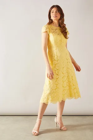 wallis Lace Fit And Flare Midi Dress