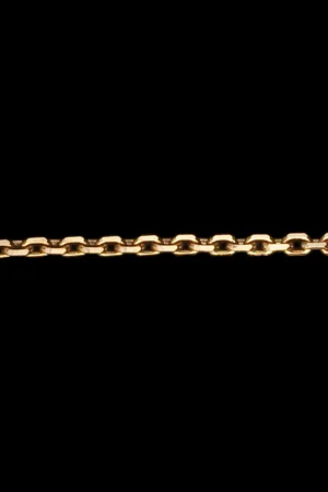 Edenly 45cm Rolo Chain