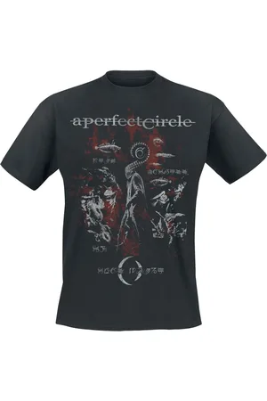 A Perfect Circle Magdalena Distressed T-Shirt