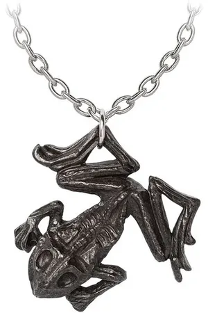 Alchemy Paddock Necklace silver
