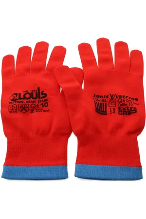 LOUIS VUITTON 2018 Gon RGB gloves
