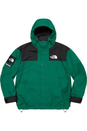Supreme X The North Face mountain jacket
