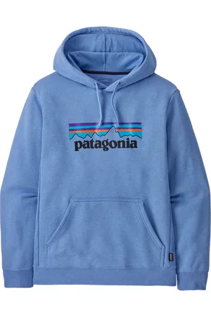 Patagonia Logo-print hoodie