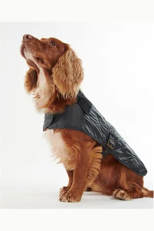Barbour Quilted Dog Coat