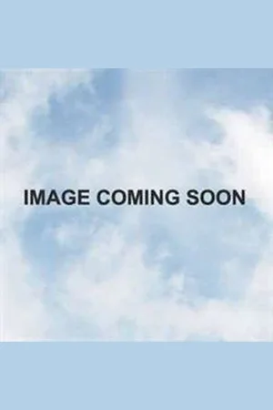The North Face Drew Peak Hoodie
