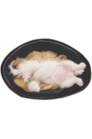 UNDERCOVER Dog Pouch in Black - Black. Size all.