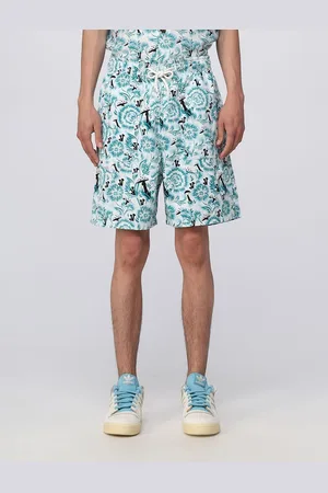 Dickies Short Men colour