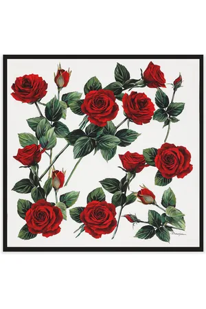 Dolce & Gabbana Silk Rose Dg Scarf
