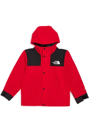The North Face Waterproof Mountain Jacket