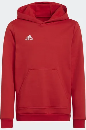 adidas Cotton Blend Hoodie
