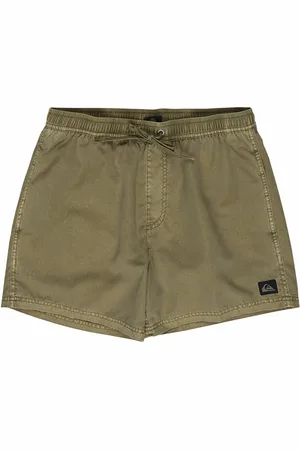 Quiksilver Everyday Surfwash Swim Shorts