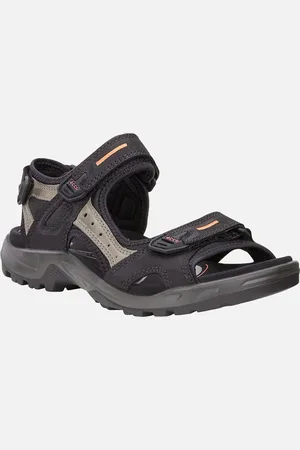 Ecco Men
