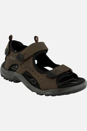 Ecco Men