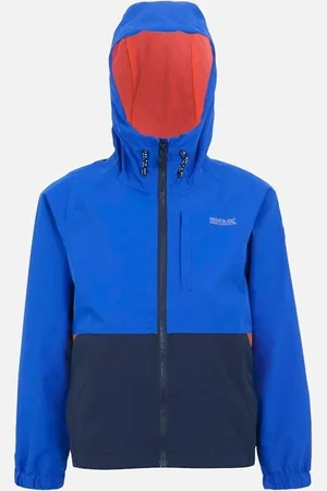 Regatta Boy