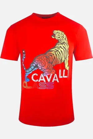 Roberto Cavalli Men