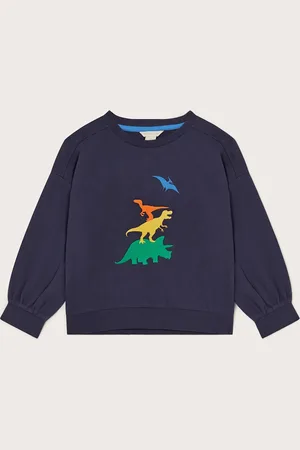 Monsoon Boys Pure Cotton Dinosaur Sweatshirt (2-13 Yrs) - 9-10Y -