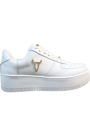 Windsor Trainers