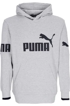 PUMA Hoodies, male, , L, Colorblock Hoodie with Hood and Pocket
