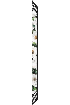 Dolce & Gabbana Fashionable Silk Scarf Fs215Agdculhd5Jb
