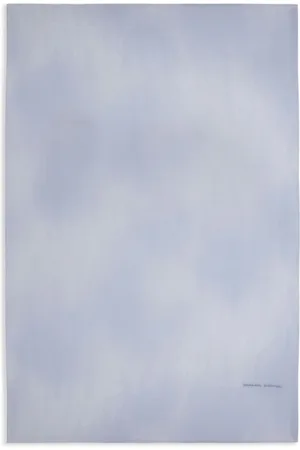 ERMANNO SCERVINO Silky Scarves, female, , ONE SIZE, Sky Silk Scarf