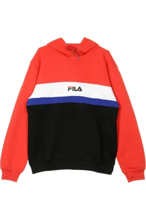 Fila Hoodies, male, , S, Radomir hooded sweatshirt