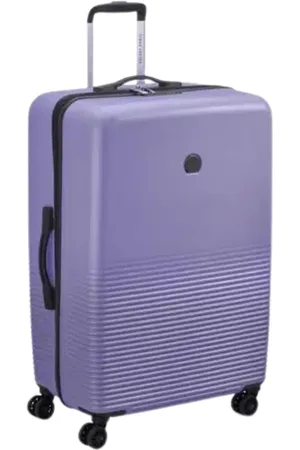 Delsey Stylish Suitcase Set