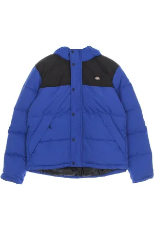 Dickies Winter Jackets, male, , XL, Down Jacket with Removable Hood