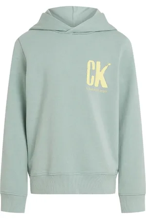 Calvin Klein Sweatshirts, unisex, , 10 Y, Hoodie for Kids