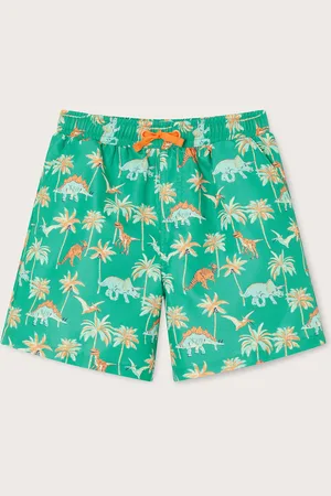 Monsoon Dinosaur Palm Swim Shorts