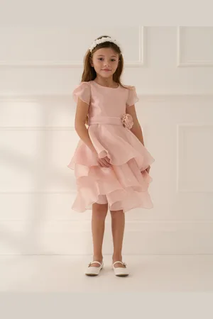 Monsoon Olena Organza Ruffle Dress