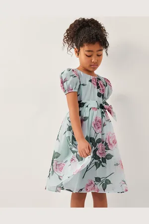Monsoon Rosaline Flower Print Organza Dress