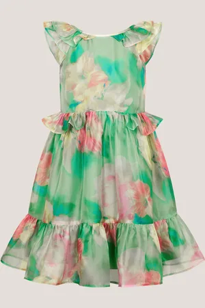 Monsoon Blurry Floral Organza Ruffle Dress
