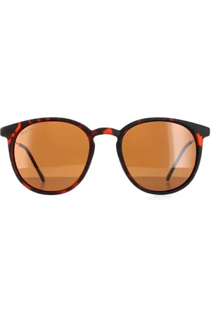 Montana Round Havana Rubbertouch Polarized MP33 Sunglasses - One Size